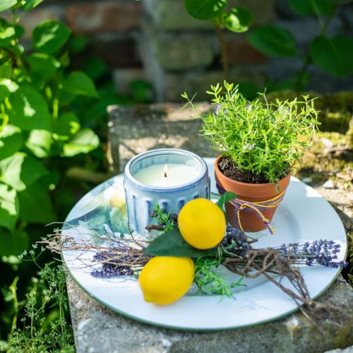 Product Citronella candle in a pot scented candle lemon Ø10.5cm H8cm