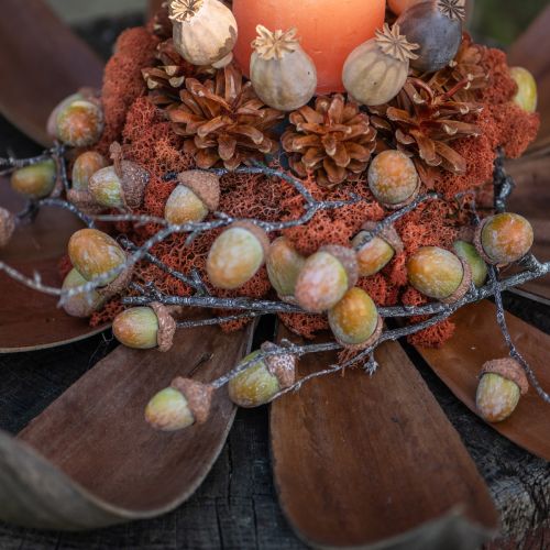 Dried coconut leaves Natural