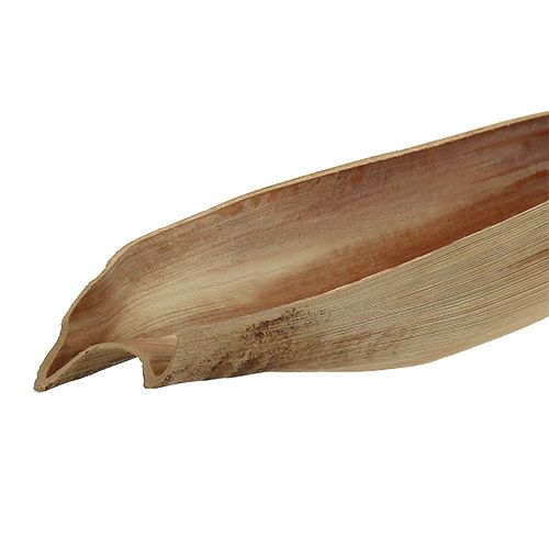 Product Coconut bowl palm leaf 60-80cm nature