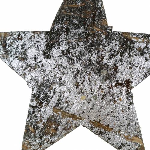 Floristik24 Coconut star silver 5cm 50pcs table decoration silver Advent decoration stars