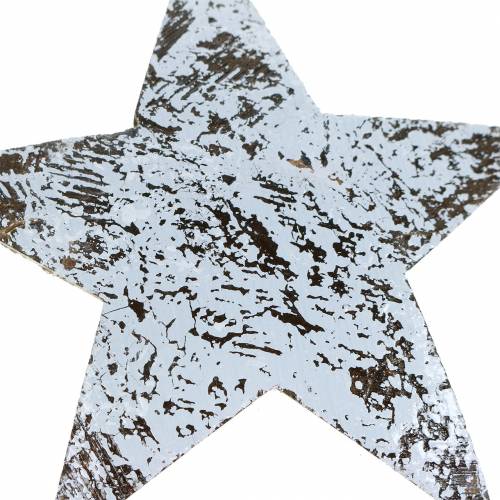 Product Coconut Star White Washed 10cm 20 pcs