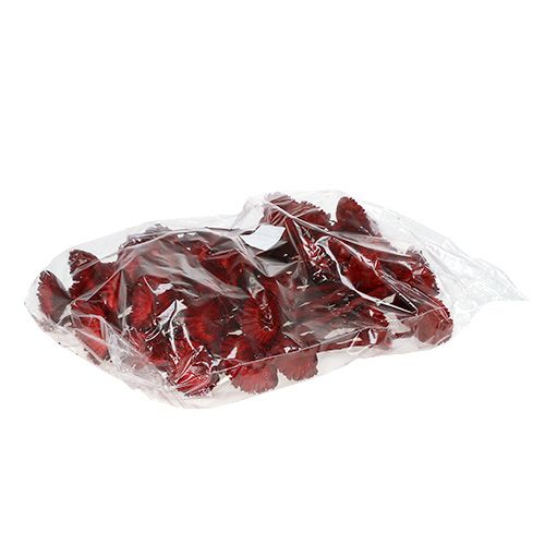 Product Compacta Rosette red 40 pcs