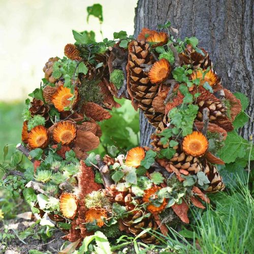 Product Compacta Rosette 100 pcs