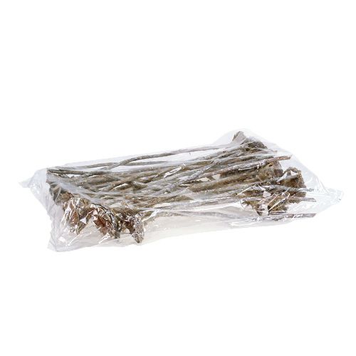 Floristik24 Coronata Rosette 25 pcs. White washed