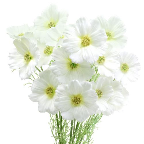 Cosmea white 77cm 3pcs