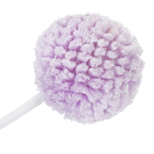 Product Craspedia dried flowers for modern table decoration in your home, 55cm, 20 pieces