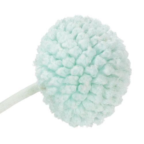 Product Dried Craspedia flowers, decorative bouquet for living room, table decoration, wedding, 55cm, 20 pieces