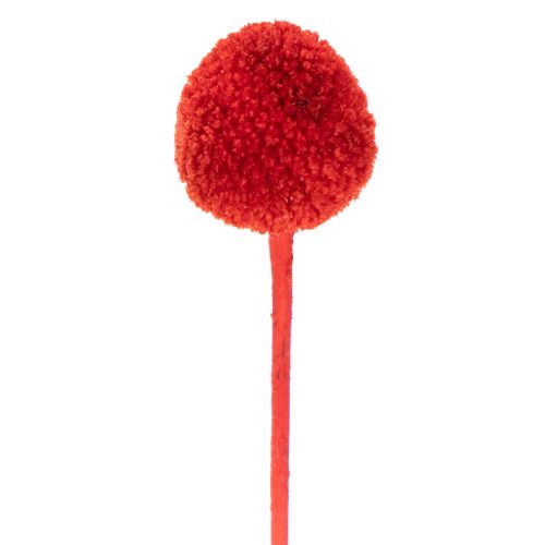 Dried Craspedia flowers, dyed, with long stems, 55cm, 20 pieces | Floristik24.ie