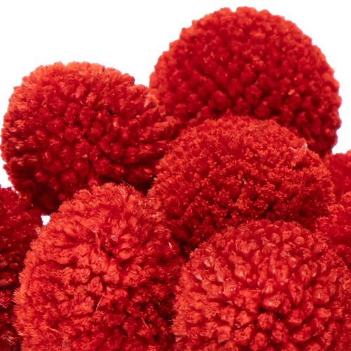 Dried Craspedia flowers, dyed, with long stems, 55cm, 20 pieces | Floristik24.ie