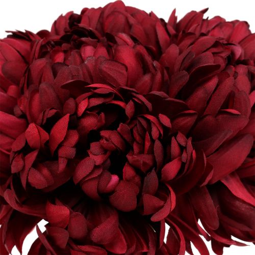 Floristik24 Chrysanthemum bouquet Bordeaux 28cm 6pcs