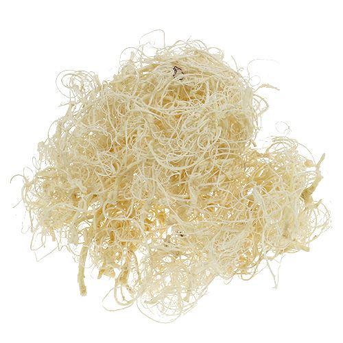 Floristik24 Curly moss bleached 350g