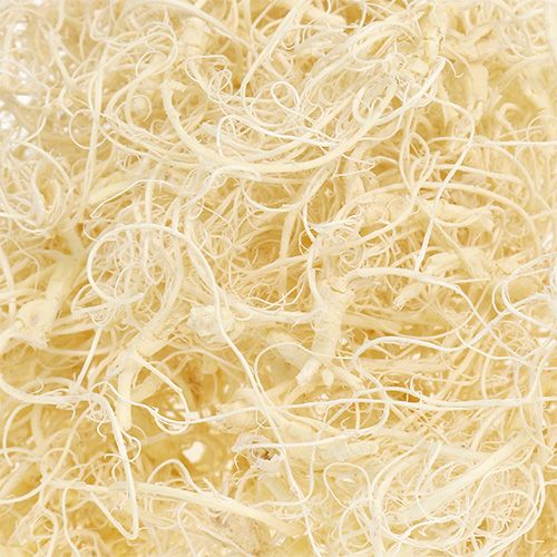 Product Curly moss bleached 350g