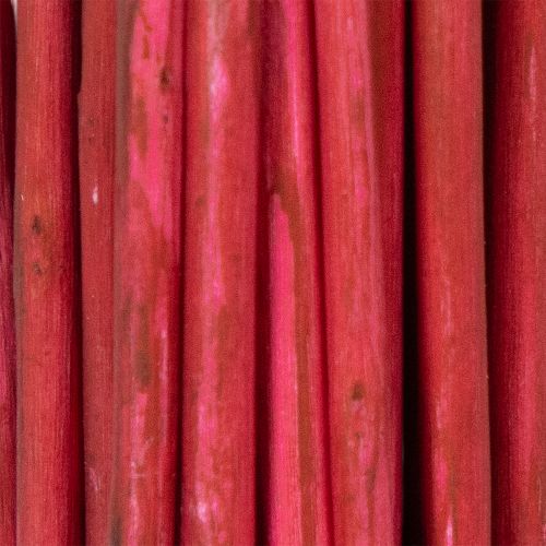 Product Curly Willow Dried Decorative Branch for Creative Floristry and Home Accessories 80cm 70g