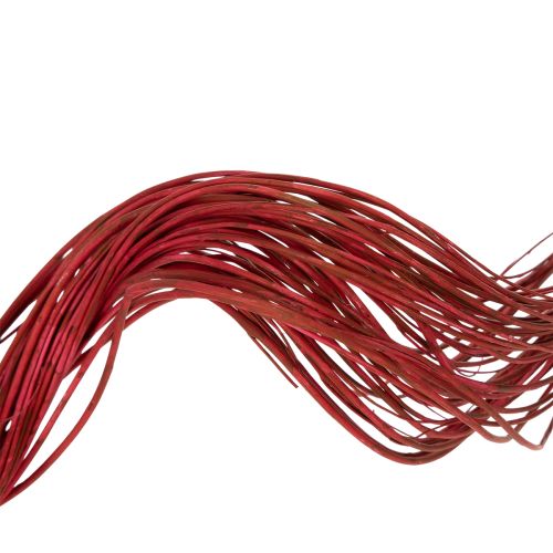 Product Curly Willow Dried Decorative Branch for Creative Floristry and Home Accessories 80cm 70g