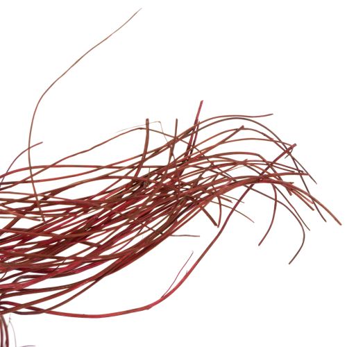 Product Curly Willow Dried Decorative Branch for Creative Floristry and Home Accessories 80cm 70g