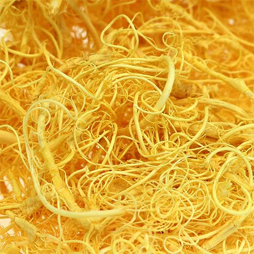 Product Curly moss light yellow 350g