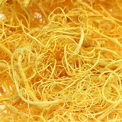 Floristik24 Curly moss light yellow 350g