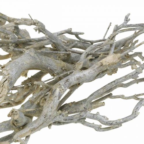 Floristik24 Curry bush decorative branches, Christmas decoration, Advent, natural decoration Golden, washed white L25–30cm 500g