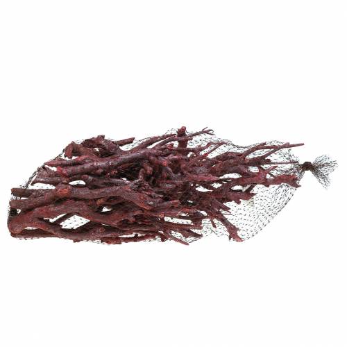 Product Decorative branches Dried Curry Plant Red branches 500g