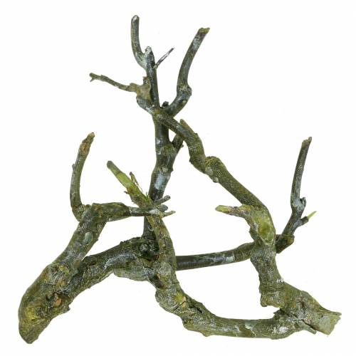 Deco branch curry bush green washed 500g