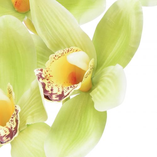Floristik24 Cymbidium orchid artificial 5 flowers green 65cm
