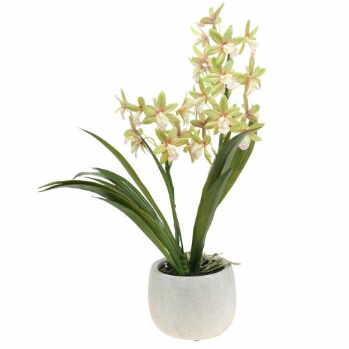Floristik24 Orchid Cymbidium Green in a pot Artificial H46cm