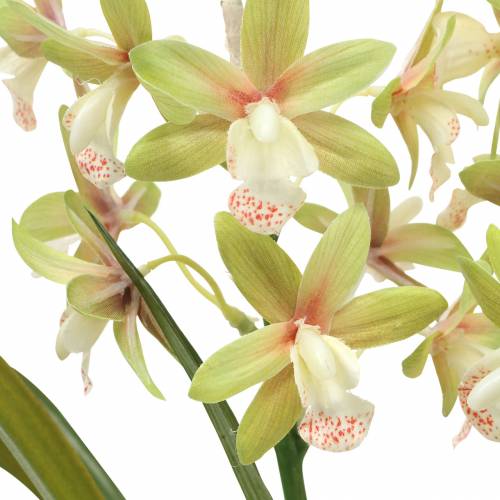 Floristik24 Orchid Cymbidium Green in a pot Artificial H46cm