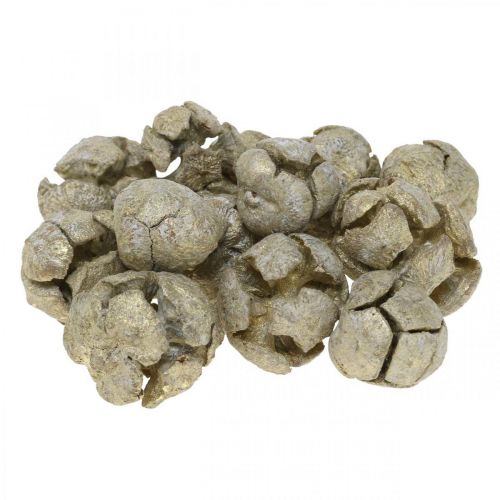 Floristik24 Cypress cones nature, Christmas decoration, gold-plated craft cones Ø2–3cm H2.5–3.5g 330g