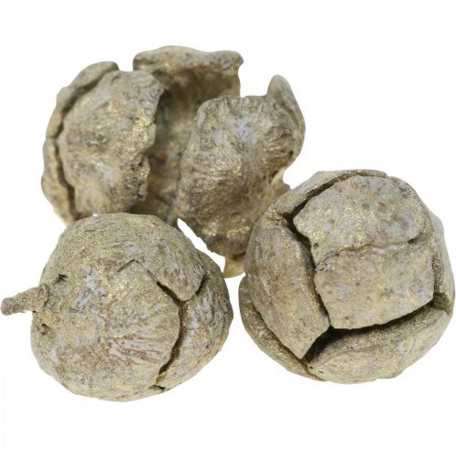 Floristik24 Cypress cones nature, Christmas decoration, gold-plated craft cones Ø2–3cm H2.5–3.5g 330g