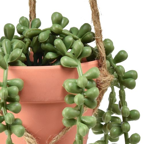 Floristik24 Artificial succulents hanging snake stonecrop 34cm