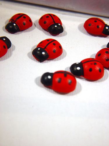 Product Ladybug small self-adhesive 360pcs