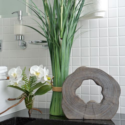 Floristik24 Orchid white with moss balls and roots 36cm