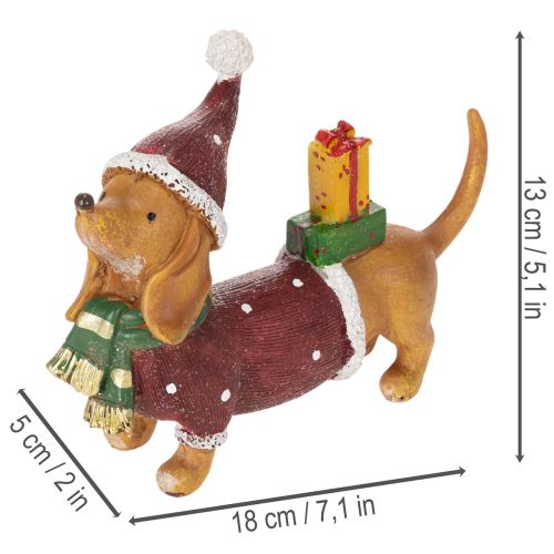 Decorative dachshund figurine with gift package and hat, 18cm | Floristik24.ie
