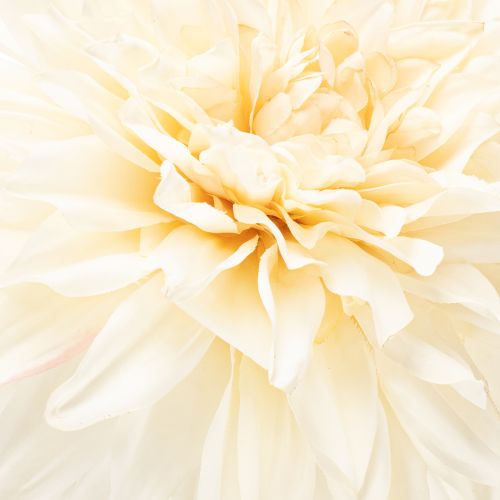 Artificial Dahlia Flower for Vase 68cm | Floristik24.ie
