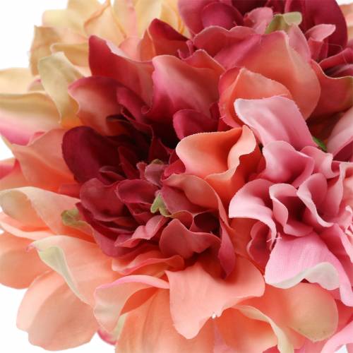 Floristik24 Dahlia bunch bouquet 28cm pink, cream 6pcs