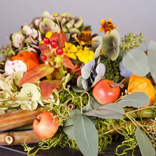 Floristik24 Mini apples 2cm on a wire 54pcs