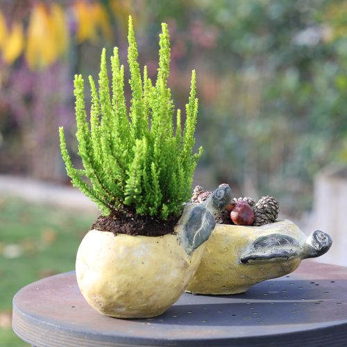 Product Decorative pear planter autumn plant pot concrete 25×13×11cm