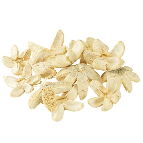 Product Decorative flower bleached 12 pcs