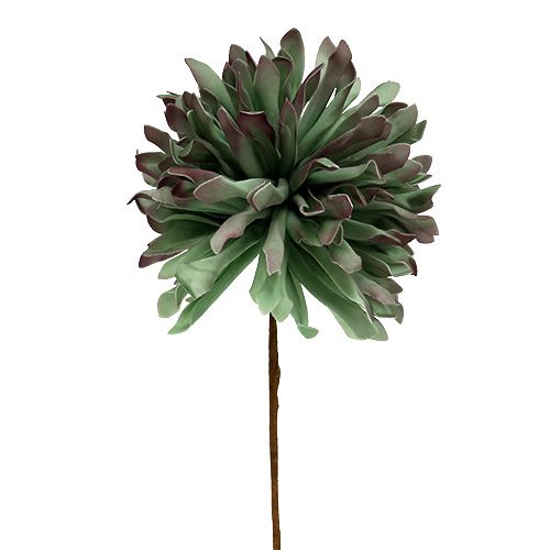 Floristik24 Decorative blossom branch foam green 70cm