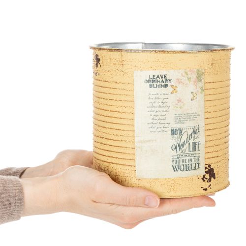 Product Decorative tin, apricot, metal plant pot, summer decoration, Ø15.5cm H15cm