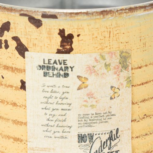 Product Decorative tin, summer apricot color, metal tin, plant pot, Ø8cm H7.5cm