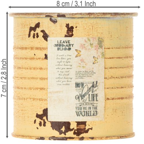 Product Decorative tin, summer apricot color, metal tin, plant pot, Ø8cm H7.5cm