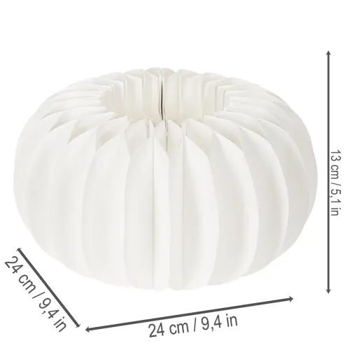 Honeycomb paper ring pumpkin round large for dried flowers and autumn decoration 24cm 4pcs | Floristik24.ie