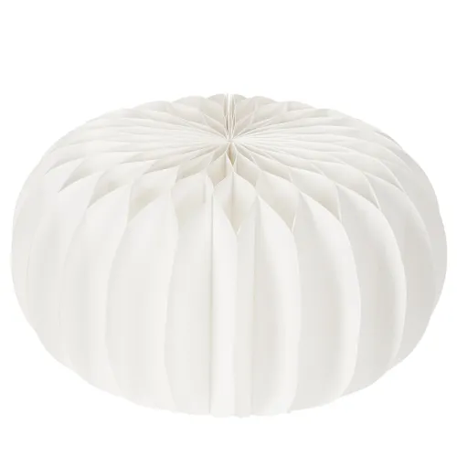 Honeycomb paper ring pumpkin round large for dried flowers and autumn decoration 24cm 4pcs | Floristik24.ie