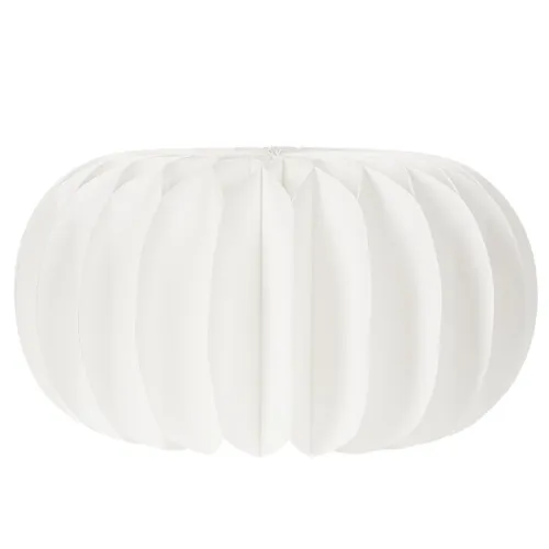 Honeycomb paper ring pumpkin round large for dried flowers and autumn decoration 24cm 4pcs | Floristik24.ie