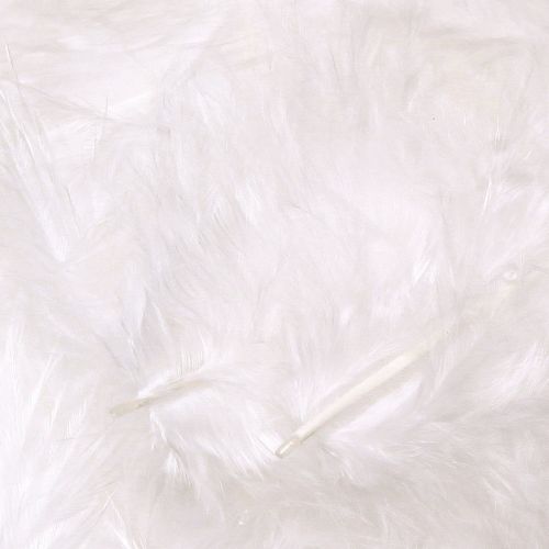Product Decorative Feathers in White Craft Supplies Spring 5–10cm 20g
