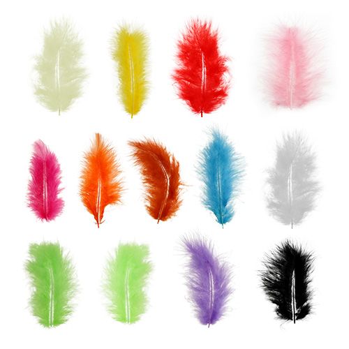 Product Feathers short 30g different colors