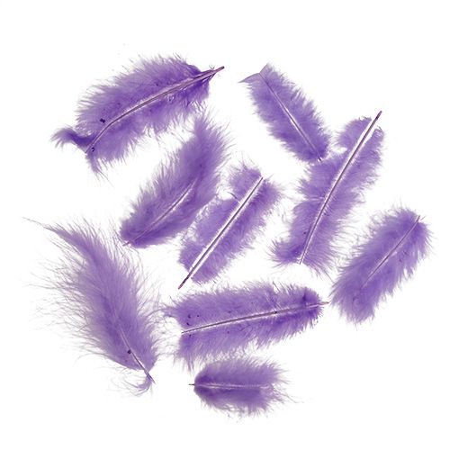 Floristik24 Feathers short 30g light purple