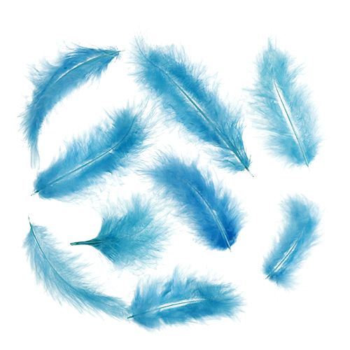 Floristik24 Short feathers 30g turquoise