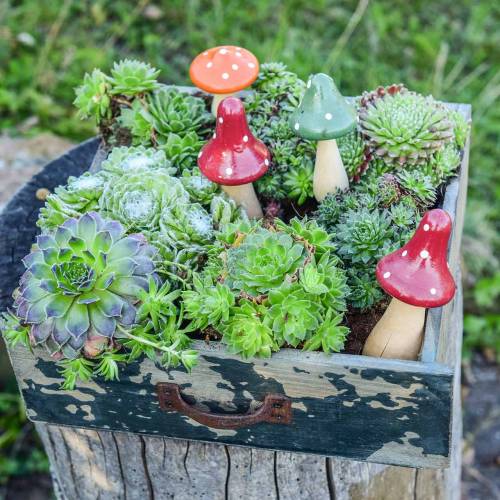 Floristik24 Decorative fly agaric set orange, green, red 10/12 / 14.8cm